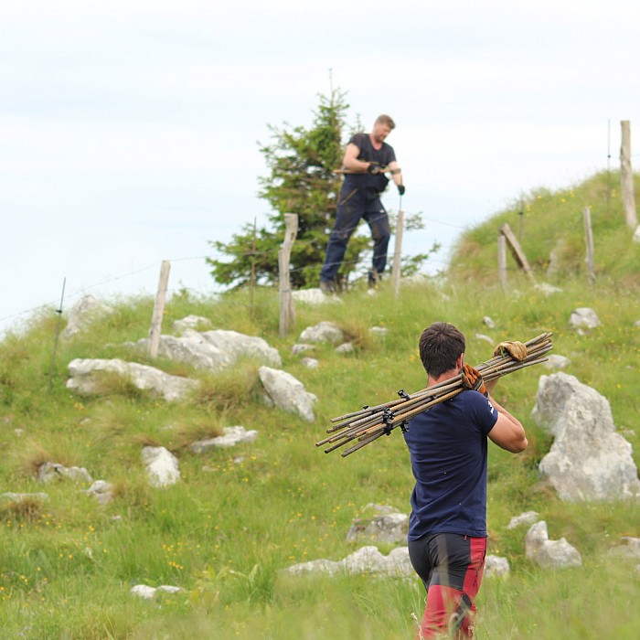Trajnostni turizem in ohranjanje planin: aktivnosti projekta ITINERANT na Bošci