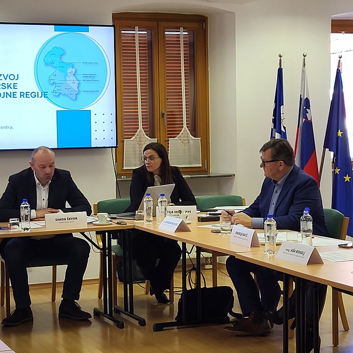 Na volilni seji Sveta regije prisoten tudi kohezijski minister ter državna sekretarka