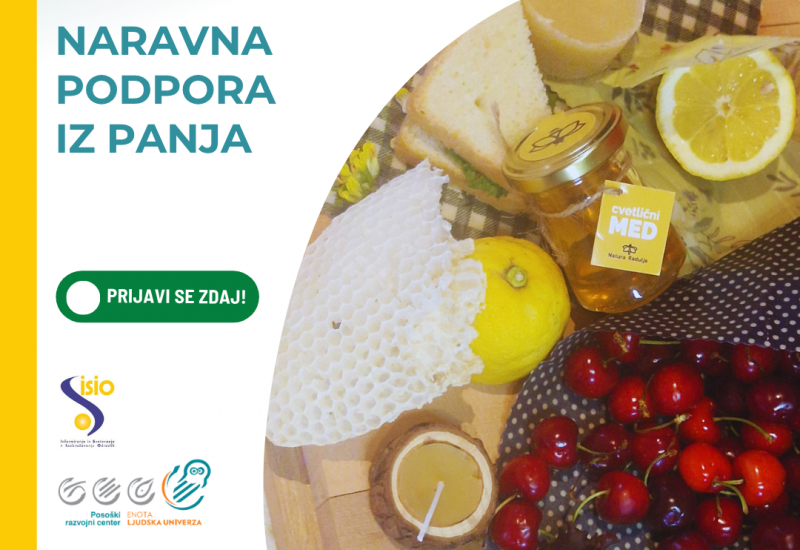 Naravna podpora iz panja