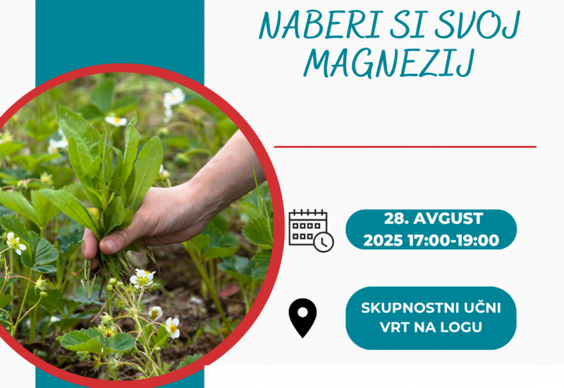 Naberi si svoj magnezij