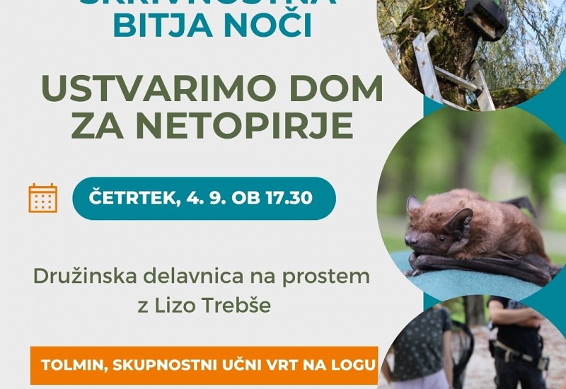 Družinska delavnica na prostem: Skrivnostna bitja noči