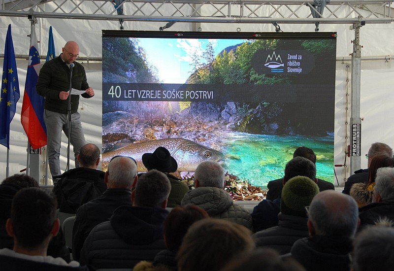 40 let uspešne vzreje genetsko čiste soške postrvi v Kobaridu